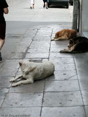 Sizilien (346 von 565).jpg